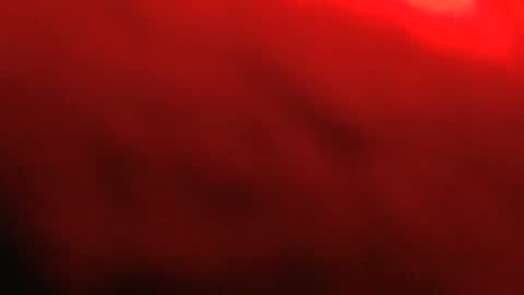 rockhead1953 online show from 02/12/26, 12:00