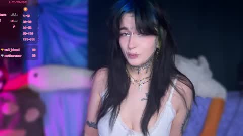 Teya online show from 04/24/26, 07:11