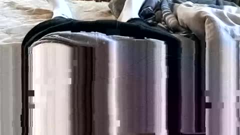 1injecttoys_ online show from 03/07/26, 05:37