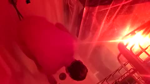 1knightluver69 online show from 03/31/26, 08:59