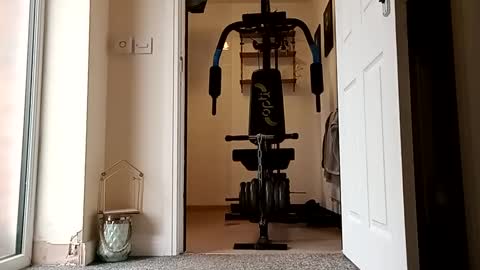 Snapshot of 1secondwonder chatting on 09/29/25, 03:39 Littleweener online show from 09/29/25, 03:39