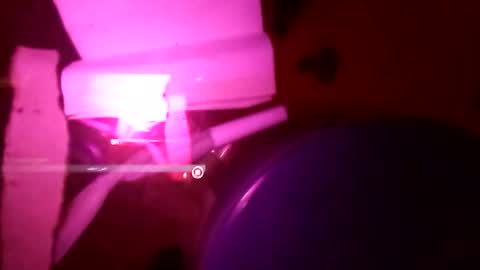 Snapshot of 1st___ chatting on 11/25/25, 08:58 1st___ online show from 11/25/25, 08:58