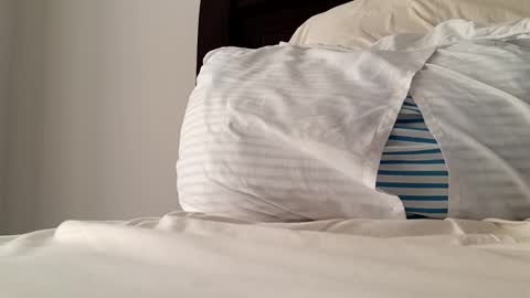 2022felipe online show from 12/14/24, 08:18