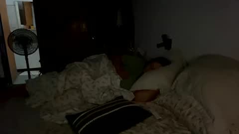 Snapshot of 2littlefox chatting on 01/19/25, 03:29 2littlefox online show from 01/19/25, 03:29