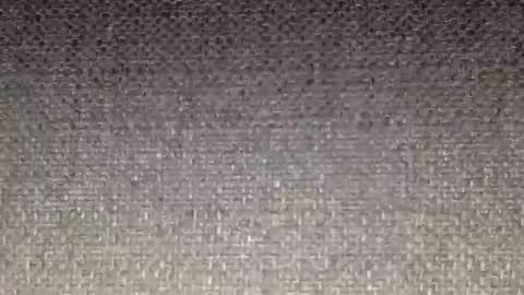 30nick online show from 02/16/26, 04:52