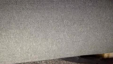 30nick online show from 03/07/26, 09:06