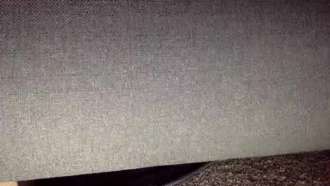 30nick online show from 04/13/26, 05:02