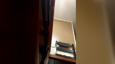 33adidas online show from 01/09/26, 09:12