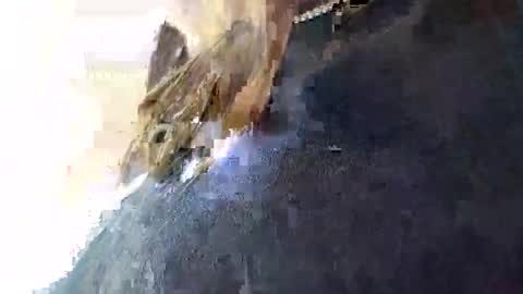 3X NAXAA online show from 01/16/26, 01:59