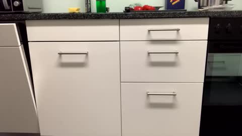 Alex online show from 11/27/25, 05:37