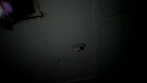 4j_n online show from 04/27/26, 02:53