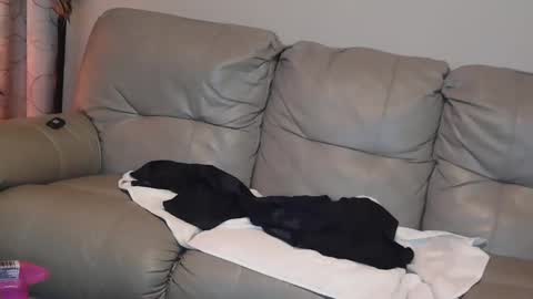 Snapshot of 4theloveofjane chatting on 01/01/25, 08:04 Jane online show from 01/01/25, 08:04