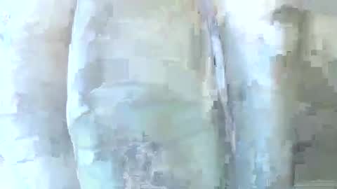 Daddy online show from 12/01/25, 06:24