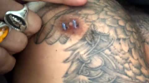 Snapshot of 6990fiko chatting on 02/18/25, 02:06 6990fiko online show from 02/18/25, 02:06