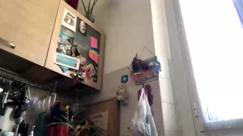 Snapshot of 6990fiko chatting on 03/04/25, 12:55 6990fiko online show from 03/04/25, 12:55