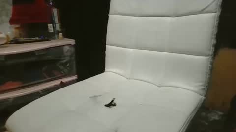 Snapshot of 69meowxxx chatting on 11/03/25, 03:24 69meowxxx online show from 11/03/25, 03:24