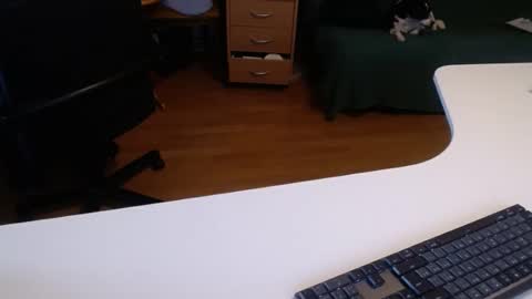 Snapshot of 69pifpaf chatting on 02/10/25, 01:11 69pifpaf online show from 02/10/25, 01:11