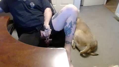 MASTIFF online show from 01/16/26, 05:28