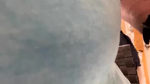 77bogusjim77 online show from 01/15/25, 06:40