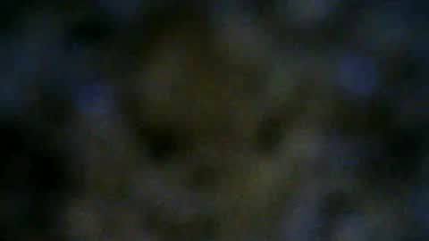 Snapshot of 77lilu chatting on 06/18/26, 10:03 Lilu online show from 06/18/26, 10:03