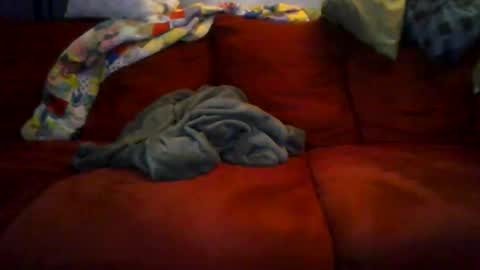 77steve7777 online show from 12/18/25, 11:16