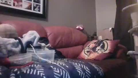 Snapshot of 7inchking269 chatting on 02/28/26, 02:45 7inchking269 online show from 02/28/26, 02:45