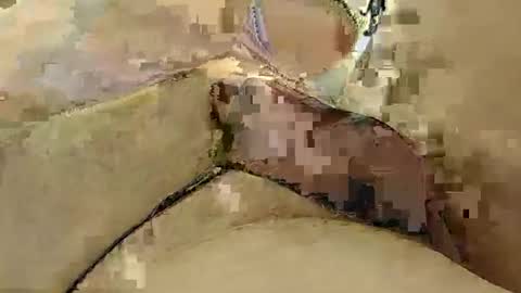 8385 online show from 03/03/25, 12:15