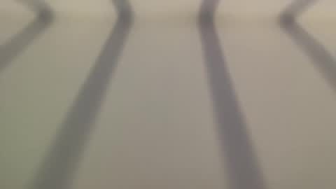 8675309jc online show from 12/02/25, 08:48