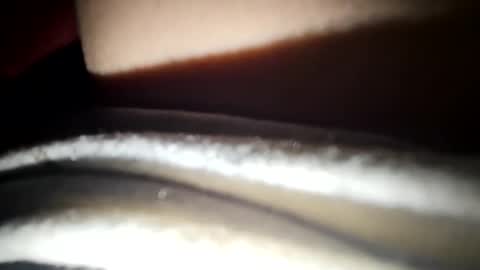 Snapshot of 88porterj chatting on 03/22/26, 04:38 JC online show from 03/22/26, 04:38
