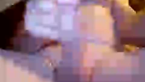 Invictus hornydad online show from 07/05/26, 04:36