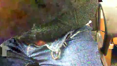 Snapshot of 99zeus9 chatting on 11/27/25, 01:46 99zeus9 online show from 11/27/25, 01:46