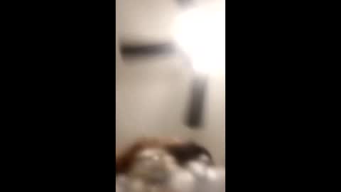 KittyPoo107 online show from 06/11/26, 02:33
