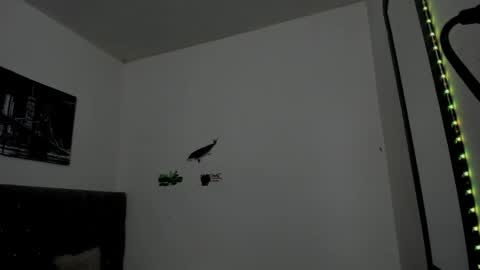 DERECK online show from 04/15/26, 10:22