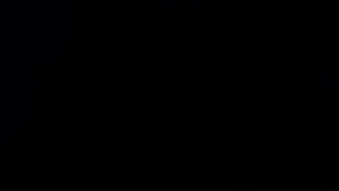 Snapshot of _aafrodita__ chatting on 11/26/25, 11:55 Alexa online show from 11/26/25, 11:55