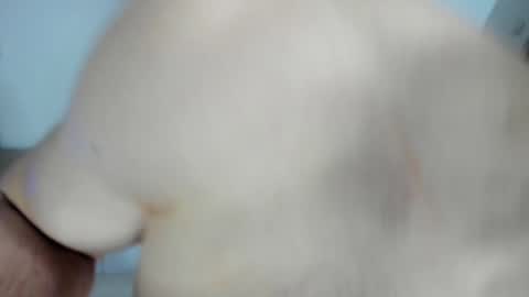 Alex online show from 01/28/25, 12:54