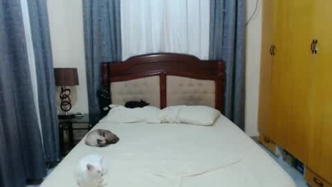 Snapshot of _amberxxx chatting on 01/30/25, 05:39 Amber online show from 01/30/25, 05:39