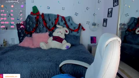 Snapshot of _antonnela_ chatting on 12/28/24, 02:10 antonnela online show from 12/28/24, 02:10