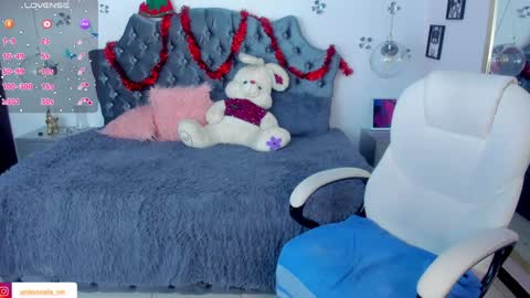 Snapshot of _antonnela_ chatting on 12/30/24, 04:29 antonnela online show from 12/30/24, 04:29