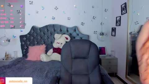 Snapshot of _antonnela_ chatting on 01/31/25, 02:17 antonnela online show from 01/31/25, 02:17