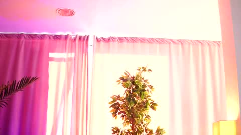 Arielle online show from 02/14/25, 12:25