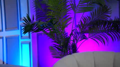 Arielle online show from 02/16/26, 07:59