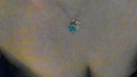 Sofia  online show from 04/07/26, 07:03