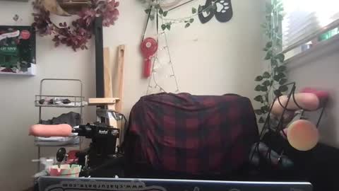 bandit online show from 12/26/24, 03:31