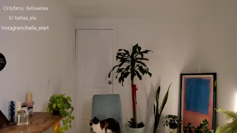 Snapshot of _bellaela chatting on 12/10/24, 12:50 Ella online show from 12/10/24, 12:50