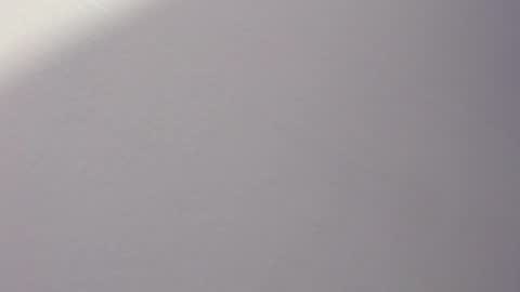 _bonnie__and_clyde online show from 04/11/26, 09:30