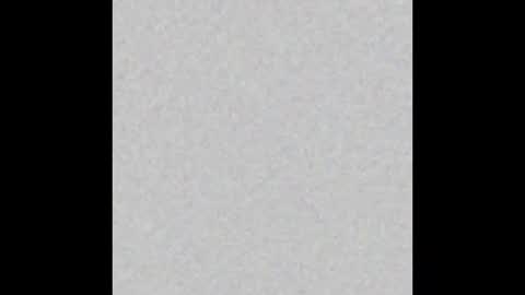 Brenda online show from 11/11/25, 11:54