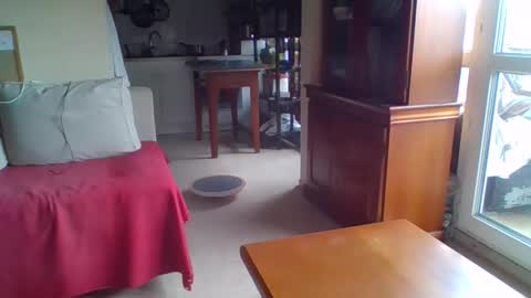 _bubble_buttfunxxx online show from 09/24/25, 10:07