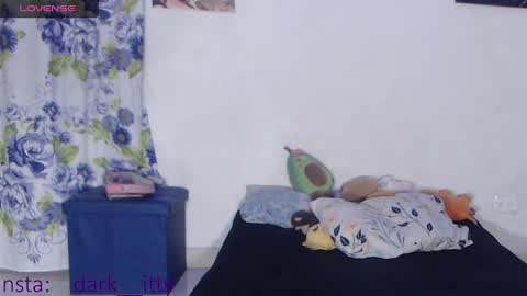 Darkitty online show from 01/15/25, 06:12