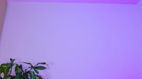 Emi online show from 02/03/26, 02:53