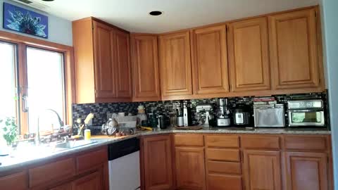 Snapshot of _frankie_rivers chatting on 03/06/25, 10:58 Frankie Rivers allmylinks online show from 03/06/25, 10:58